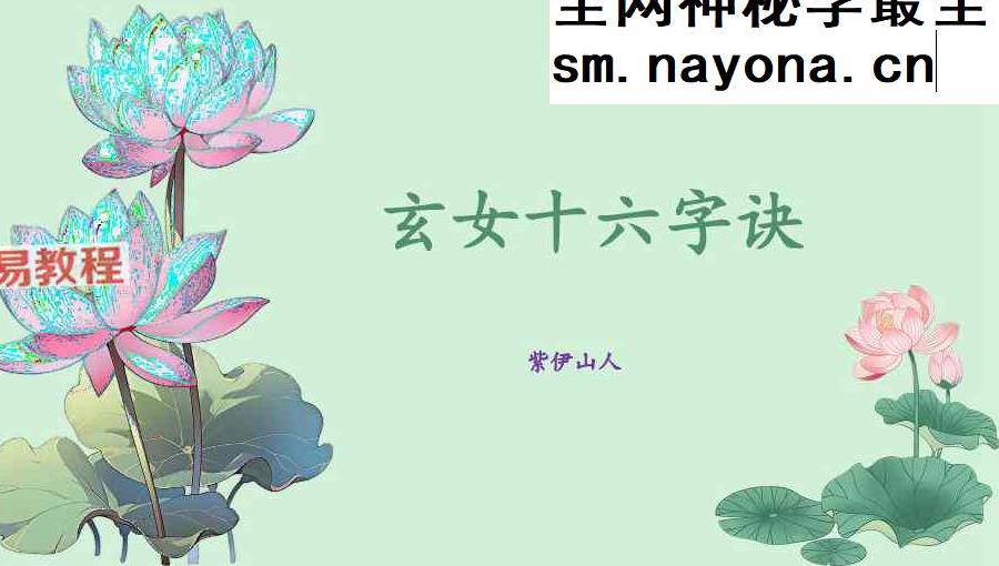 玄女16字决课件pdf