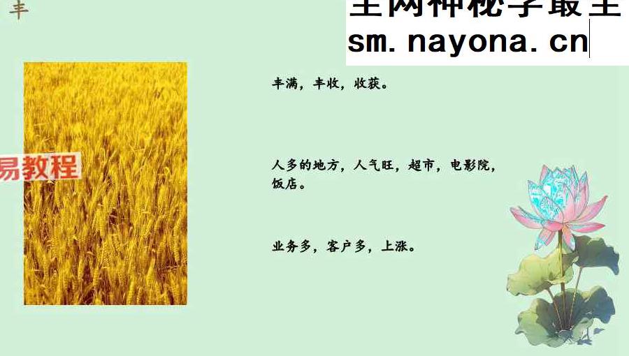 玄女16字决课件pdf