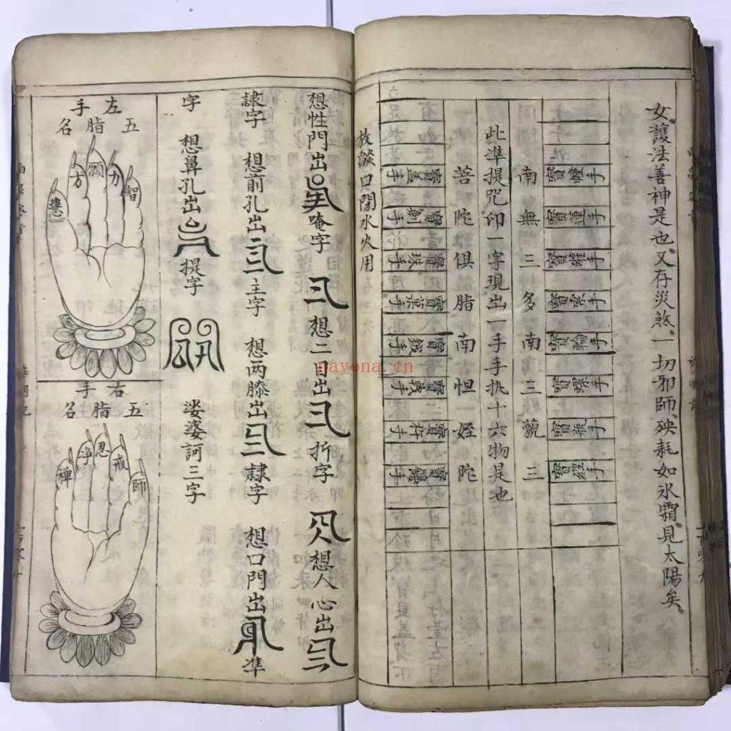 《传录南泉正宗符命一本》普庵10