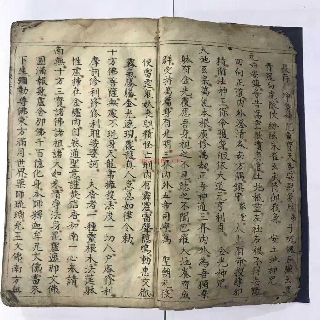 《传录南泉正宗符命一本》普庵10