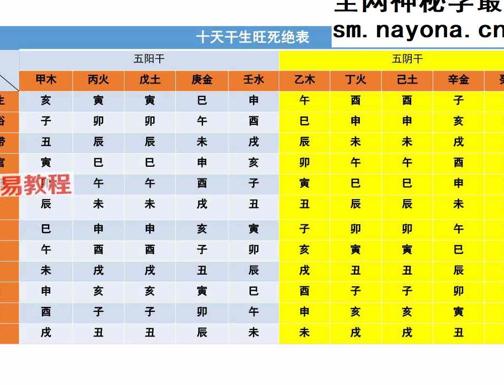 十二长生深度解析-赵璟雯交付课.pdf 53页