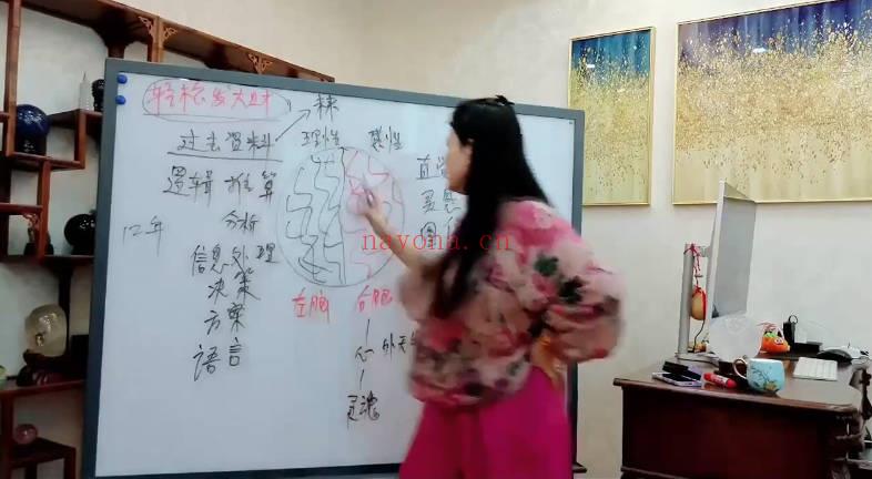 莲星老师《榜样的力量》15集视频课