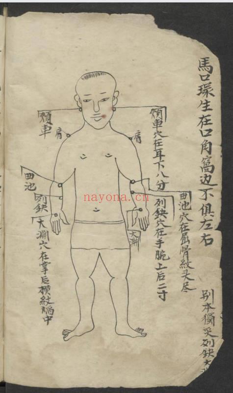 《百症图说》中医外科手抄本 141页.PDF电子版