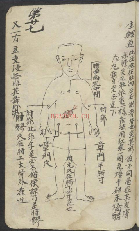 《百症图说》中医外科手抄本 141页.PDF电子版
