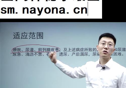 李泽波扁鹊神应四象针视频课程24集