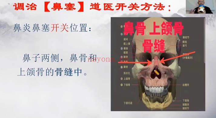 张宸菘《道家开关疗法绝技秘术》视频4集