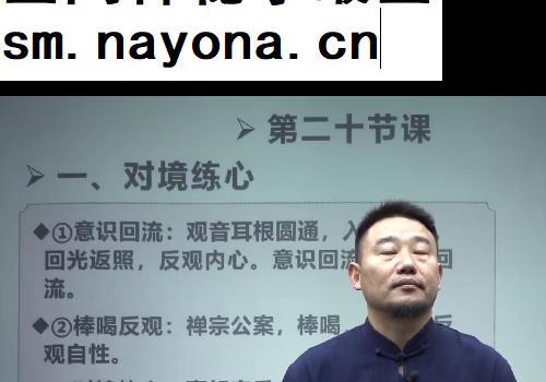 谢三润天医内观术视频课程23集