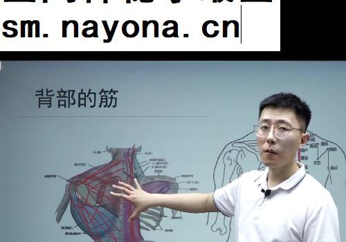 李泽波全集李泽波扁鹊神应四象针华佗摸骨解筋术寻经解筋术视频课程合集