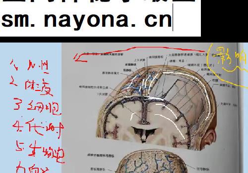 于敦才教授独创临床诊断法四步定位诊断视频课程6集