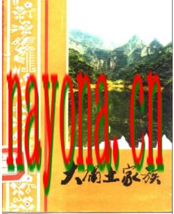 大庸土家族.pdf下载