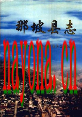 广西那坡县志 2002版.pdf下载