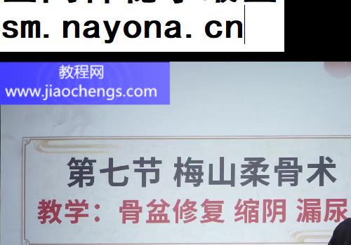 张金梅山柔骨术梅山道家提阳功九龙化骨水膝关节中医视频课程