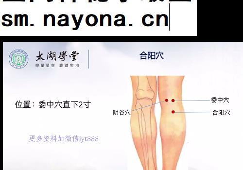 吴雄志吴门脚针地机视频课程23集配套笔记
