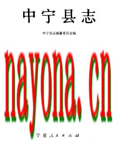 宁夏 中宁县志.PDF下载