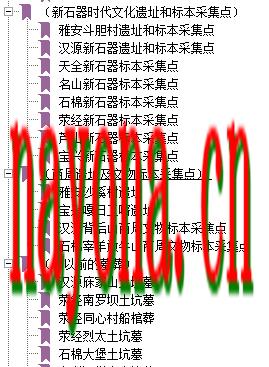 雅安地区文物志.pdf下载