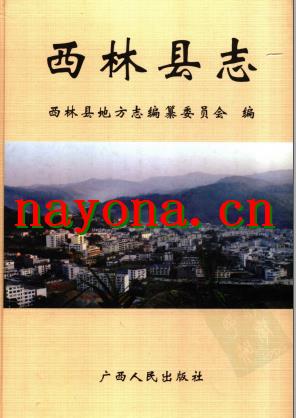 广西西林县志.pdf下载