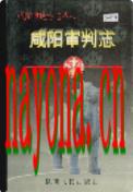 咸阳审判志               1997年版