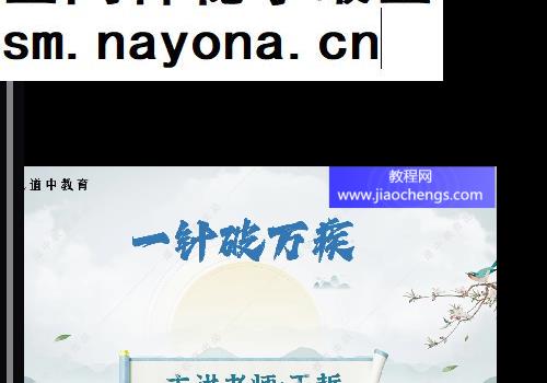 王哲一针破万疾视频课程