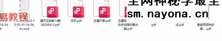 罗天 昊天十三期 视频+课件pdf