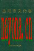 岳阳市文化志                1994年版