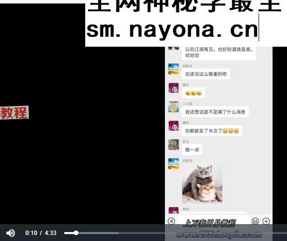 罗天 昊天十三期 视频+课件pdf