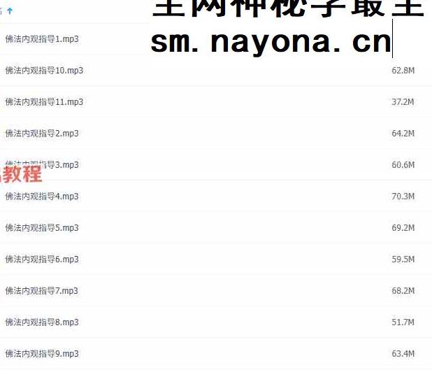 葛印卡内观资料 视频+录音+文档