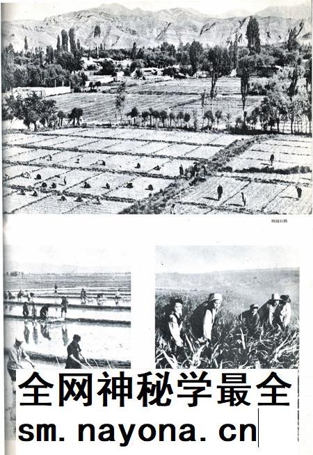 新疆画报1962年第06期.pdf电子版_新疆维吾尔族自治区志插图5