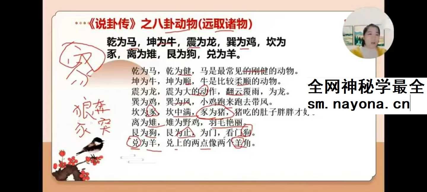 久珍《梅花易数》30集