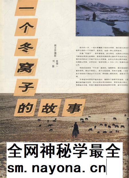 新疆画报1990年第04期.pdf电子版_新疆维吾尔族自治区志插图5 新疆画报1990年第04期.pdf电子版_新疆维吾尔族自治区志插图5