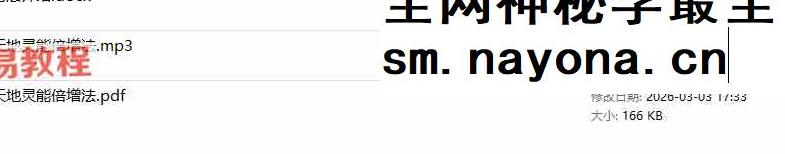 金龙子 天地灵能倍增法音频+文档pdf