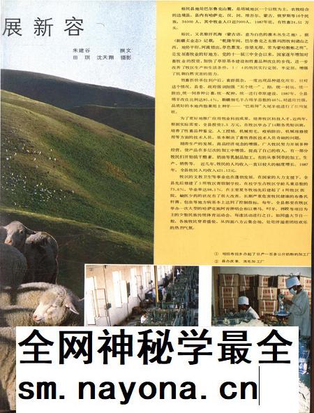 新疆画报1988年第03期.pdf电子版_新疆维吾尔族自治区志插图4