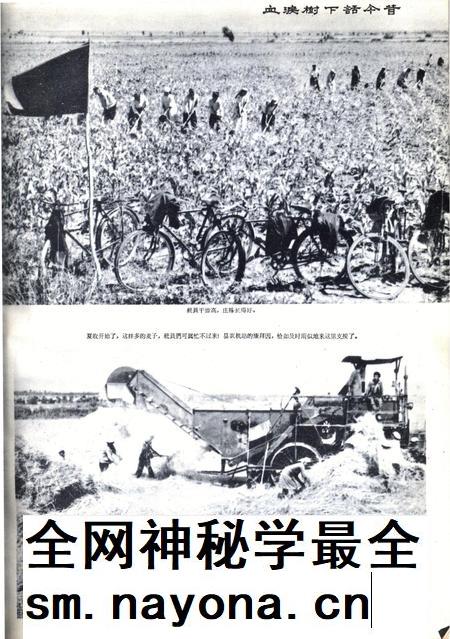新疆画报1963年第05期.pdf电子版_新疆维吾尔族自治区志插图5 新疆画报1963年第05期.pdf电子版_新疆维吾尔族自治区志插图5