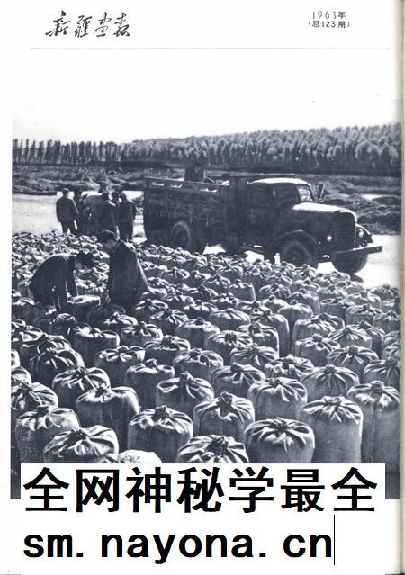 新疆画报1963年第06期.pdf电子版_新疆维吾尔族自治区志插图1