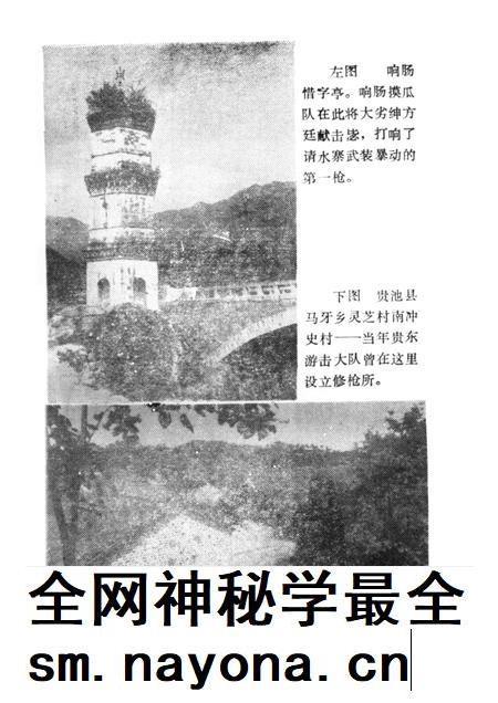 安庆地区近代革命史稿.pdf电子版_安徽省志插图4