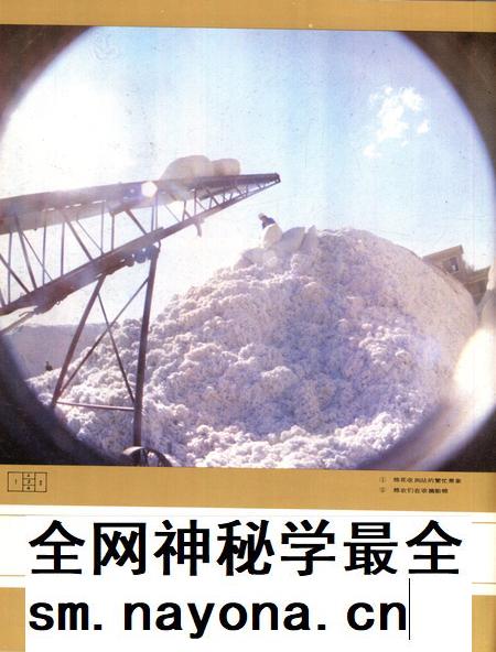 新疆画报1989年第02期.pdf电子版_新疆维吾尔族自治区志插图5 新疆画报1989年第02期.pdf电子版_新疆维吾尔族自治区志插图5