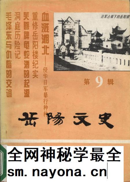 岳阳文史第九辑.pdf电子版_湖南省志插图