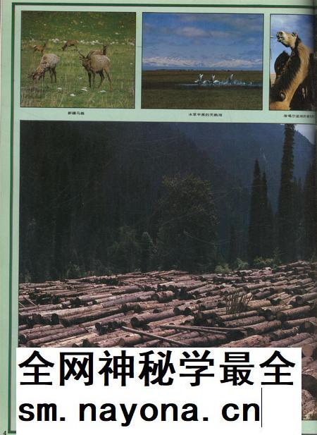 新疆画报1992年第03期.pdf电子版_新疆维吾尔族自治区志插图5