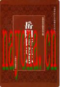 岳阳街道志 2011年版