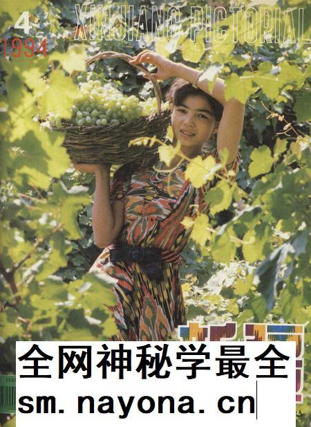 新疆画报1994年第04期.pdf电子版_新疆维吾尔族自治区志插图