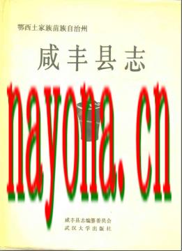 湖北省咸丰县志.pdf下载