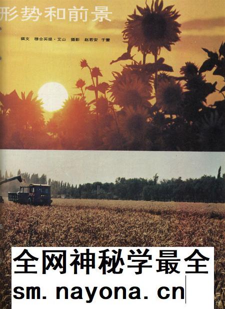 新疆画报1994年第05期.pdf电子版_新疆维吾尔族自治区志插图4 新疆画报1994年第05期.pdf电子版_新疆维吾尔族自治区志插图4