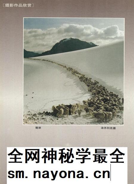 新疆画报1994年第04期.pdf电子版_新疆维吾尔族自治区志插图1