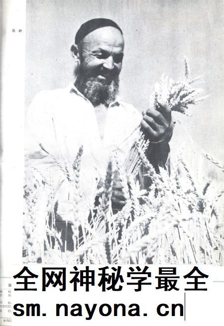 新疆画报1962年第06期.pdf电子版_新疆维吾尔族自治区志插图1
