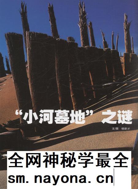 新疆画报2010年第12期.pdf电子版_新疆维吾尔族自治区志插图3
