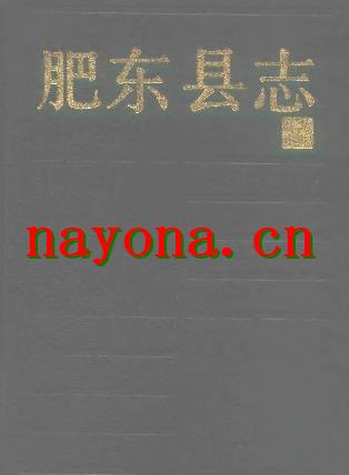 安徽省肥东县志.pdf下载