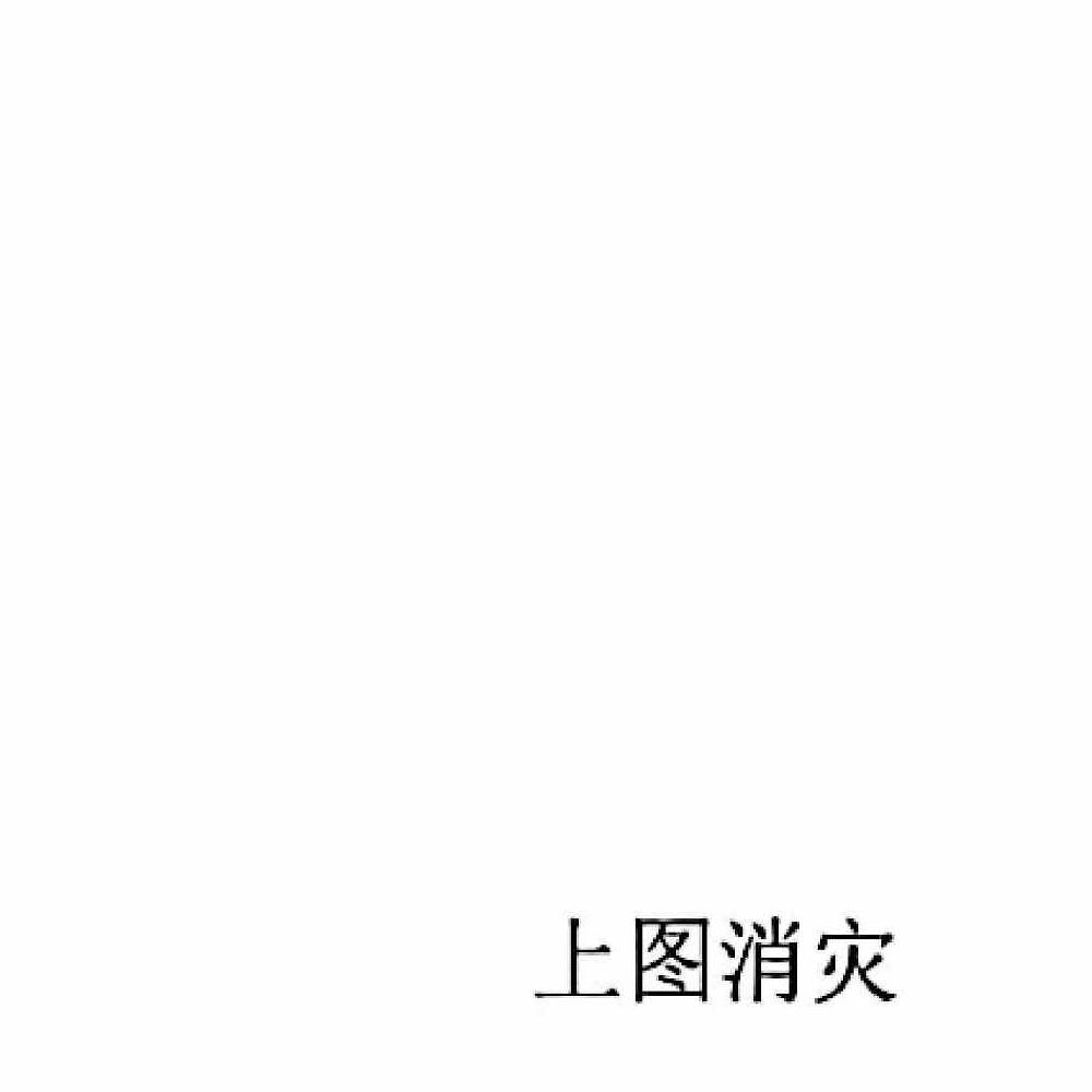 内部资料古法破解灯镇灯镇珍贵化解长龙.pdf 96页