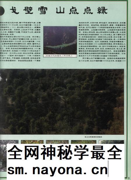 新疆画报1992年第03期.pdf电子版_新疆维吾尔族自治区志插图4
