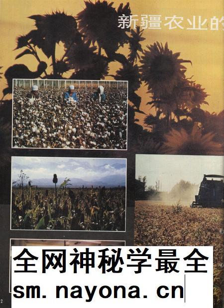 新疆画报1994年第05期.pdf电子版_新疆维吾尔族自治区志插图3 新疆画报1994年第05期.pdf电子版_新疆维吾尔族自治区志插图3