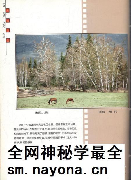 新疆画报2001年第01期.pdf电子版_新疆维吾尔族自治区志插图1