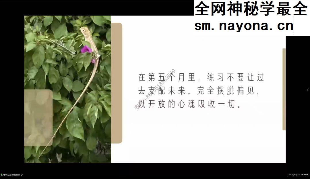 灵性基础 星星学堂姚珺 六个练习共修 视频课程 六个练习共修 视频17集